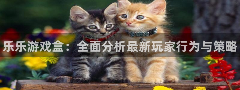 优贝娱乐注册官方登录app：乐乐游戏盒：全面分析最新玩家行为
