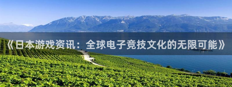 优贝娱乐在线登录：《日本游戏资讯：全球电子竞技文化的无限可能