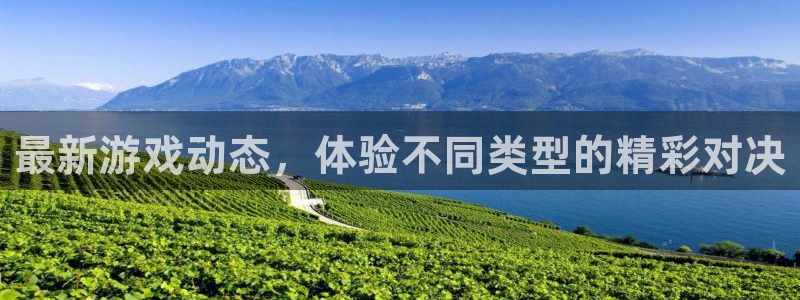 优贝娱乐4主管：最新游戏动态，体验不同类型的精彩对决